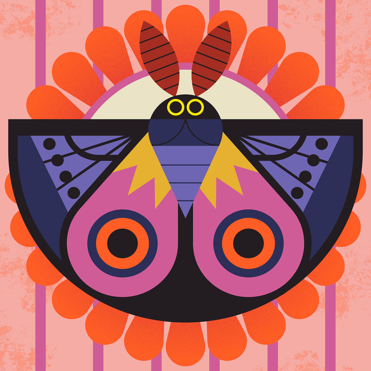 Moth