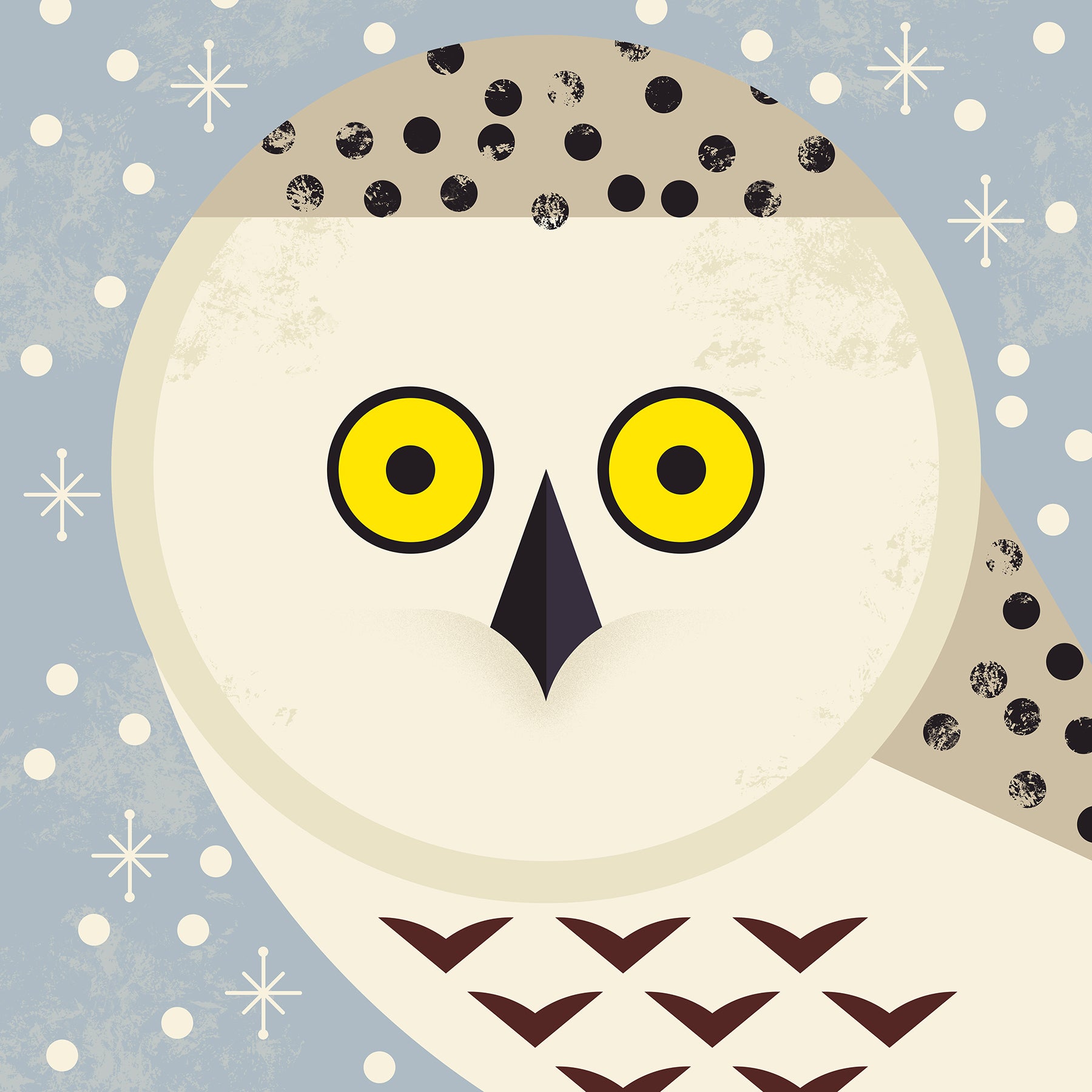 Snowy Owl